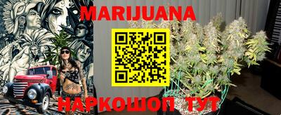 шишки Моздок