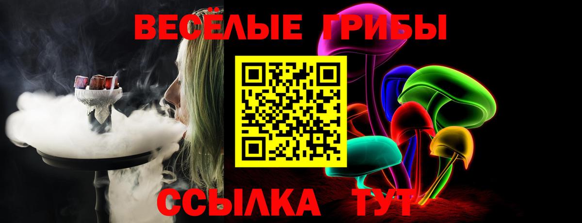 Псилоцибиновые грибы Psilocybe Новокуйбышевск